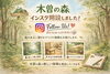「「木曽の森」Instagramスタート！【木曽の森林・林業・木工の魅力やイベント情報を発信】」