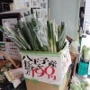 八王子産　長ネギ　一袋190円！そこから2袋購入ごとに50円引きしちゃいます。一袋あたり165円！お友達と購入もよし！誰かの分も買っちゃって下さい。長ネギを買いに来てください！お待ちしています。八王子スカイホテル1Ｆ