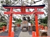 「⛩️稲荷祭⛩️」