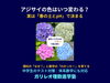 アジサイの色はいつ決まる？「アジサイの花の色はいつ決まる？春の土壌環境とpHの仕組みを解説｜八王子めじろ台・高尾の個別指導『ガリレオ理数進学塾』」
