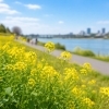 ☀️今日はぽかぽか春陽気🌸
