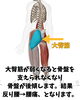 慢性腰痛の原因・臀筋の悩みにアプローチ「「腰痛の原因は腰にあらず」骨盤の後傾とおしりの筋肉のお話【新潟市東区山の下】」