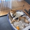 愛知よりご来客
