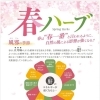 春ハーブよもぎ蒸しのご感想と、ゆらぎの季節の過ごし方
