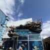 水族館にドラえもんが登場！/アクアリウムの事ならアクアデザインブルース/生き物のプロ/