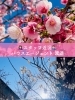 「静岡市清水区・巴川沿いの桜並木🌸春の散歩と暮らしを楽しむスポット紹介」