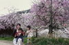 「春は自律神経が乱れやすい時期です」