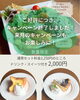「サーモン〜アボカドタルタル〜キャンペーン終了と次回予告【江南市/カフェ】」