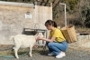 ヤギの顎を撫で、大きな犬と手を重ね、生き物本来のありのままの姿を嗜む。「3月の稼働率は98%。なぜ今、和心村の里山の「地味」が選ばれるのかについて探究してみました。そして、学生限定プランが常設プランにすることに決まりました！」