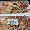 おはよう御座います