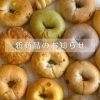 春の新作・販売スタートのお知らせ