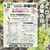「3月22日『市場の日』イベント開催します！」