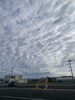 15日.前橋の朝の「うろこ雲」です。「群馬県公安委員会届出済み。あなたのお悩み事必ず解決致します。ご連絡お待ちしています。」
