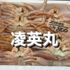 本日鮮魚入荷致しました