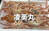 ズワイガニ「本日鮮魚入荷致しました」