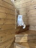 「【BESSユーザーの暮らし紹介～小さな家族がいるユーザー編～】」