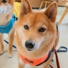 今日のお友達