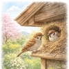 🐦 雀始巣（すずめはじめてすくう）