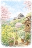 桜始開「🌸 桜始開｜今年は少し早い春の訪れ」