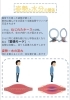 「姿勢と水分」