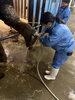 タワシで綺麗に洗います「🐘ゾウキーパー奮闘記【#63.ゾウ担当への道5】」