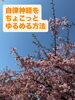 桜が散る時、マイナスイオンが放出されているとか？「忙しい春、気分を穏やかに整えるヒントをご紹介！」