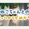 初対面は「空気」でOK！ペットシッターのゆっくり片想い成就術【江戸川区・西葛西のペットシッター】