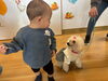 「【ご報告 】「わんちゃんへのよみきかせの会」を開催しました！🐶📚」