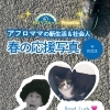🐾🌸 KGリフォームプレゼンツ アフロママの新生活＆社会人 春の応援写真 in 川之江