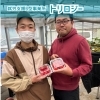 いちご農園セイントベリーさんへ見学に行ってきました【就労継続支援B型事業所トリロジー】