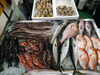 令和8年3月19日 店内「📣本日のお魚情報🐟」