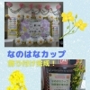 「なのはなカップ」飾り付け完成！