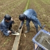 田んぼ脇の境界基礎を補修👷‍♂️ インドネシア出身新人コンビが大活躍