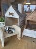家族の一員こだわりグッズ「木のぬくもりで愛犬・愛猫に世界で一つのオーダー家具を」