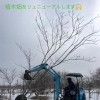 植木畑をリニューアル工事中🔨《福島市でエクステリアのことならグリーンライフ》