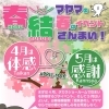 4月・5月は「春結び」マヤマのイベントのお知らせ