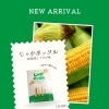 ＼素材のおいしさが楽しめる🌽🥔／