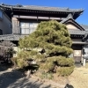 松の剪定・お庭手入れ事例のご紹介