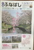うるわしき　船橋のさくら🌸「広報ふなばし　3/15号が入荷しました！」
