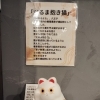 人気アイテム！　八王子　張り子　犀角さんのだるま抱き猫。売り切れていましたが再入荷！新たな定番八王子お土産の予感！　養蚕　織物のまち八王子　八王子産張り子　802SKYSHOP オール八王子産　八王子作家　ハチオウジ　はちおうじ　八日町