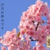 22日（日）お休みをいただきます