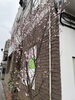 「卒業写真 / 荒井由実　みんなで歌謡ポップス」