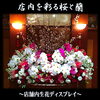 「店内に咲き誇る桜と胡蝶蘭〜店内生花ディスプレイ〜【福山駅近くのおしゃれな花屋】」