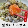 店長おすすめ！ふっくら食感の釜揚げしらすご飯できました