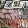📣本日のお魚情報🐟