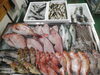令和8年3月21日 店内「📣本日のお魚情報🐟」