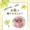 第2弾！スーパーで買える！謝恩会・歓送迎会など「春のお花ギフト」販売中！-上越市-