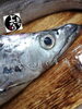 「太刀魚入荷致しました！」