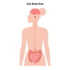 脳腸相関と言われるほど大事な器官「「腸活＝食べ物」だと思ってませんか？」