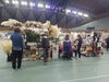 多彩なハンドメイド雑貨がいっぱい！「和歌山市のビッグイベント『シュシュマーケット』に行ってきました！①ハンドメイド＆グルメが大集合♪」